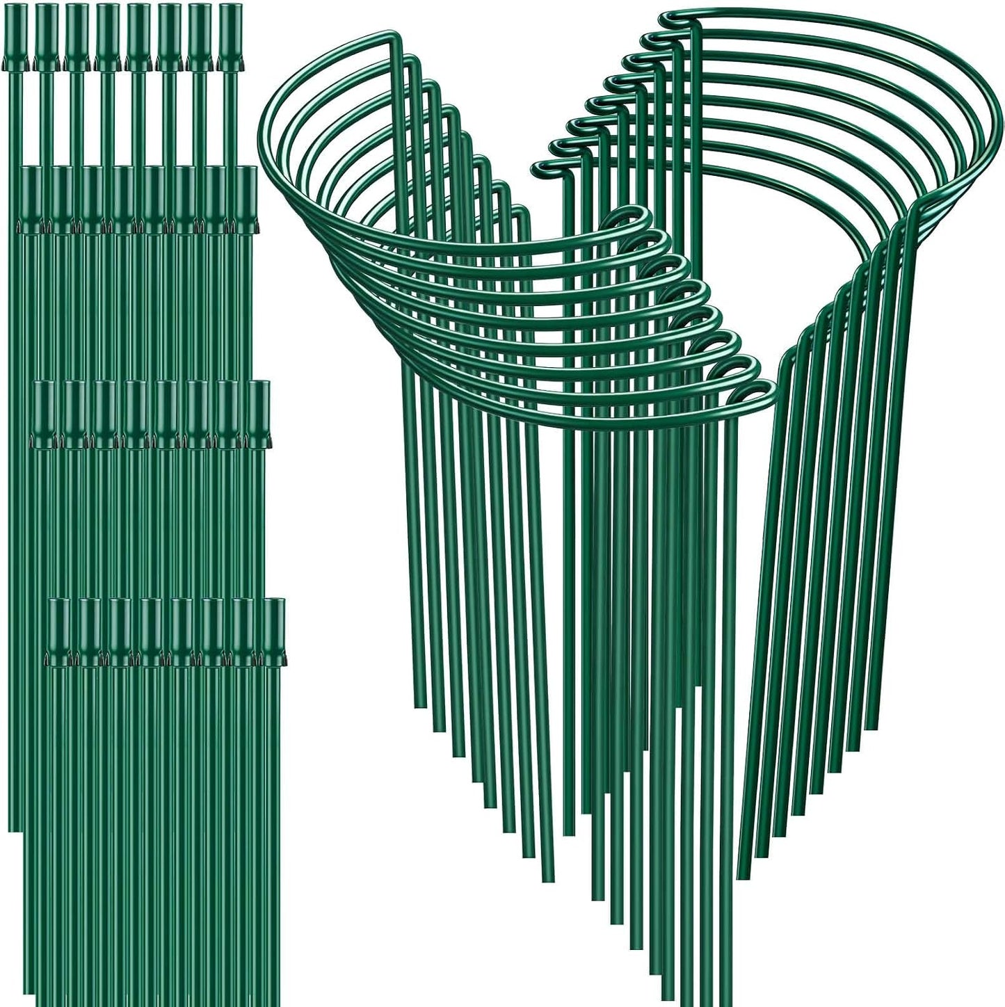 HiGift Peony Cages and Supports 24" H x 10" W, 8 Pack Tall Snake Plant Support Stake Half Round Metal Garden Stake for Indoor and Outdoor Plants, Flower Support Ring Border for Tomato,Hydrangea,Rose