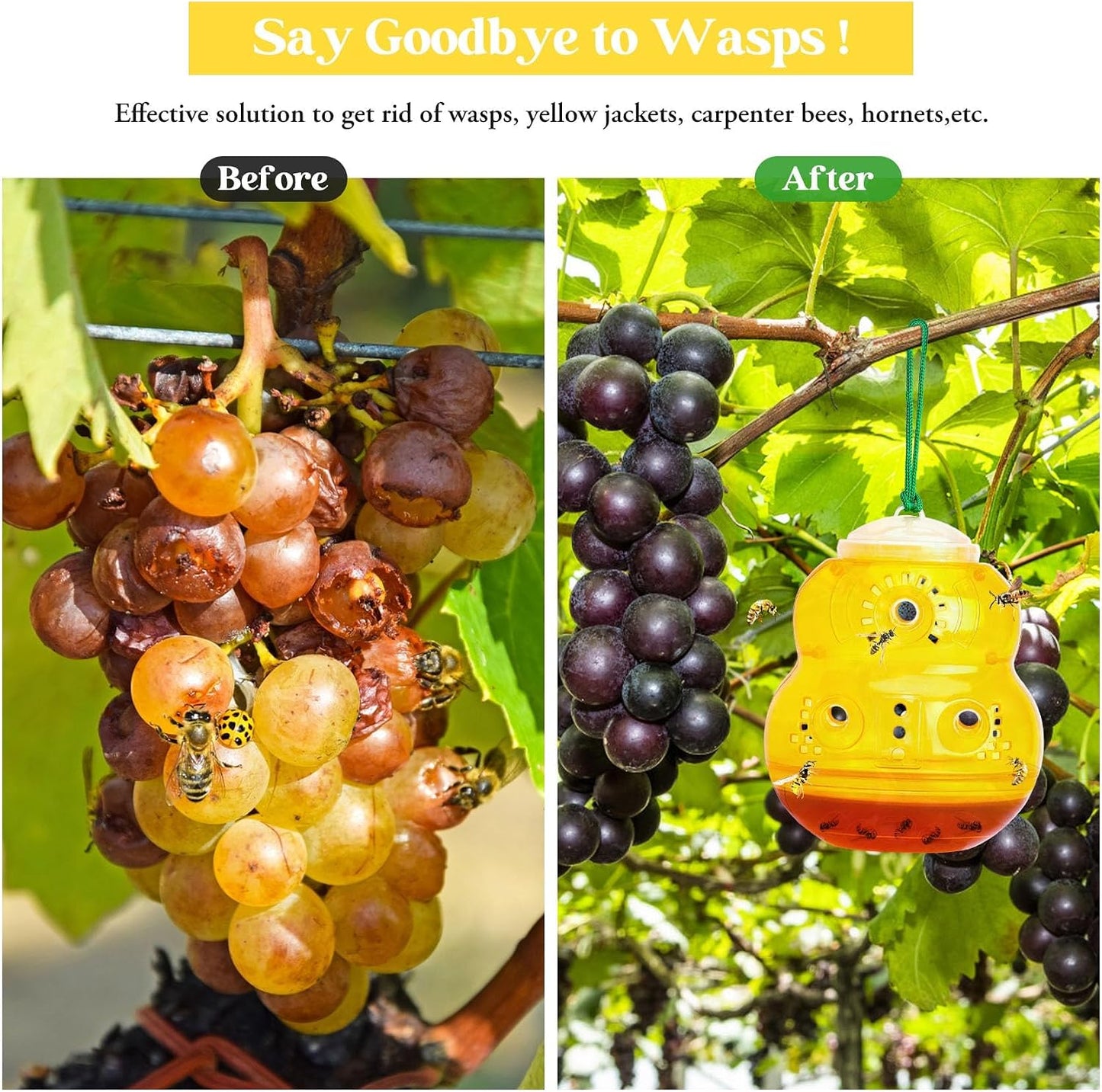 2 Pack Wasp Traps Outdoor Hanging | Carpenter Bee Traps for Outside Yellow Jacket Trap Wasp Killers Bee Catcher Hornet Trap for Outdoor Farm Garden (Orange)