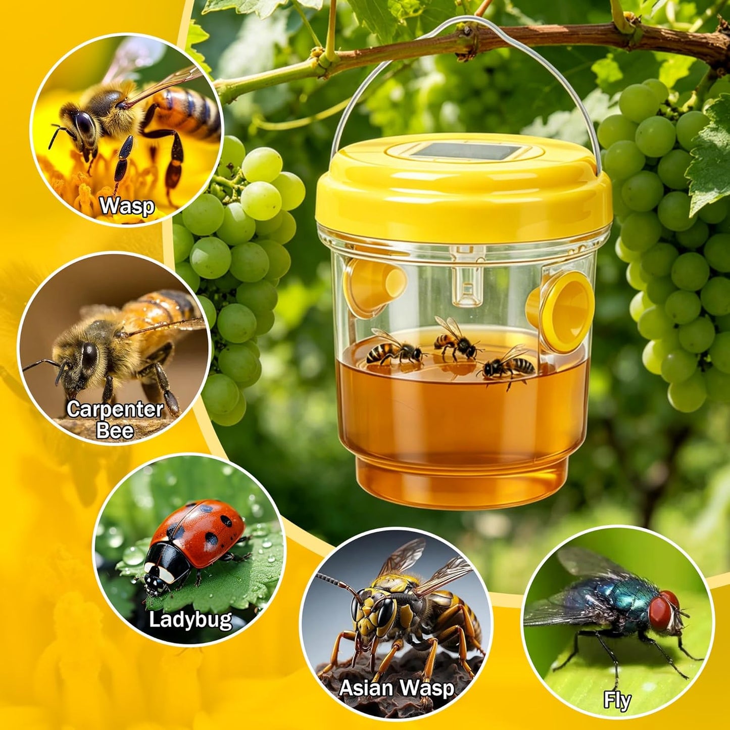 4Pcs Wasp Traps Outdoor Hanging