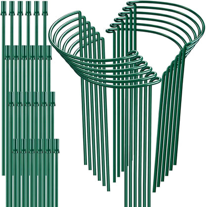 HiGift Plant Support Stakes, 6 Pack Metal Peony Cages and Supports, Garden Stakes Plant Support Cage, Large Plant Support Ring for Outdoor Indoor Snake Plant Peony Rose Flowers Vine (10" W x 15.8" H)