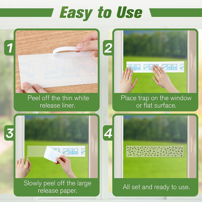 Qualirey 30 Pack XL Window Fly Traps for Indoors, Extra Large Fly Paper Sticky Strips, Waterproof & Non Toxic Clear Sticky Traps for Windows, Bug Catcher for House, Kitchen and Office(15"×3")