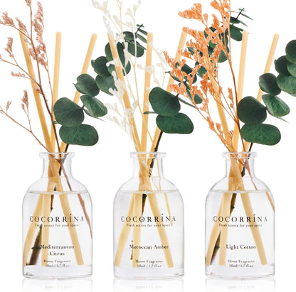 COCORRÍNA Eucalyptus Reed Diffuser Set of 3 - Eucalyptus & Moss, Clean Linen, Ocean Mist Scents, 1.7 fl oz Each, Total 5.1 oz, Scented Oil Diffusers for Home & Office