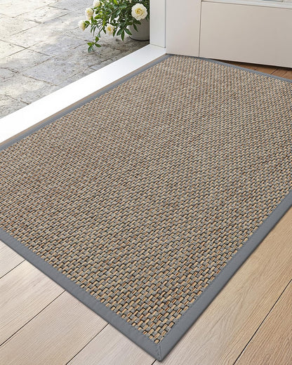 DEXI Ultra Thin Entryway Indoor Door Mat 24x36, Non Slip Rubber Backing Inside Entry Mat, Low Profile Easy Clean Dirt Trapper Doormat for Inside Entrance Patio, Beige