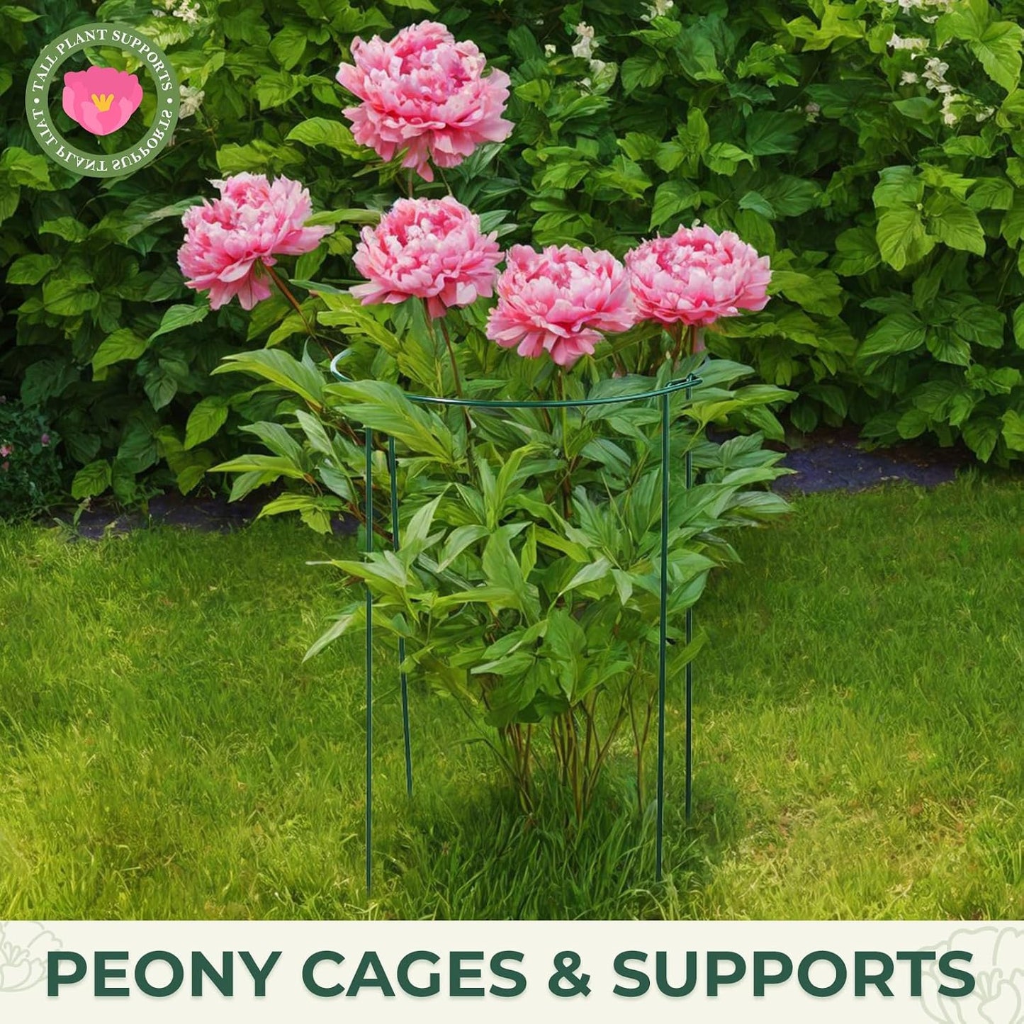 LEOBRO Plant Support, 8PCS Peony Cages and Supports, Plant Stakes for Indoor Plants, Outdoor Plants, Metal Garden Stakes, Plant Holders, Tomato Monstera Hydrangea Support Cage, 10" W x 15.8" H