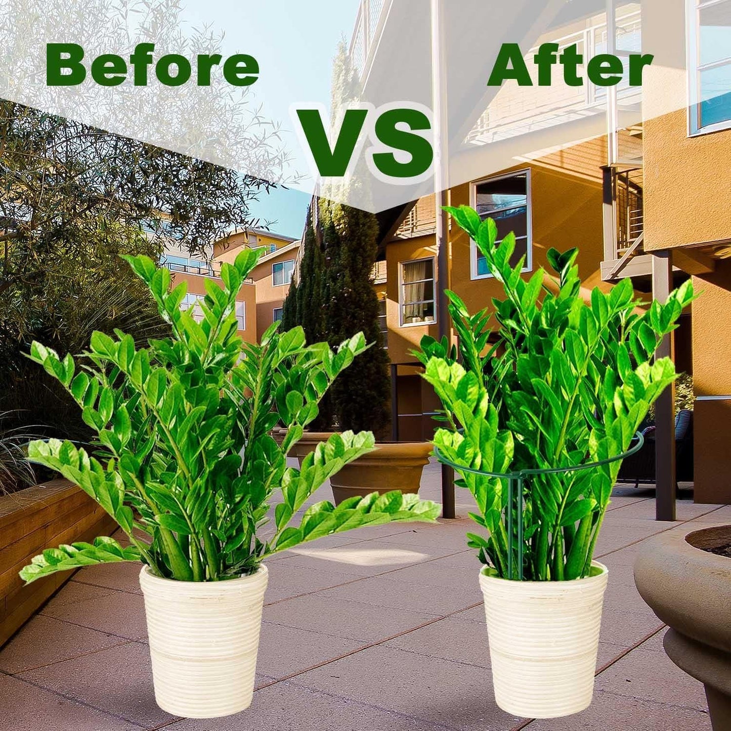 HiGift 10 Pack 24" H x 10" W Tall Plant Support Stakes, Half Round Metal Peony Cages and Supports, Monstera Plant Support Snake Plant Stake Flower Support Ring for Tomato, Hydrangea Outdoor Indoor
