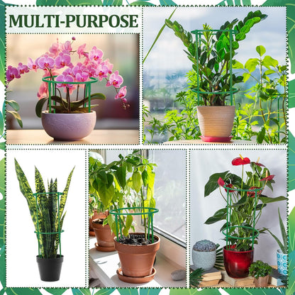 36 Pcs Plant Support Stakes, Half Round Plant Support for Indoor Plants Stackable Plant Holder Stick Plastic 9.8 Inch Plant Stakes for Tomato, Monstera, Peony, Hydrangea Climbing Plants