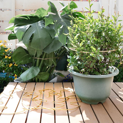 Yohsnor Monstera Plant Stem Support System - 5 Piece Set (5.5x4.7in) | Durable Plant Support Stakes for Climbing Plants & Fishbone Cactus | Ideal Leaf Stabilizer for Indoor Plants & Monstera Care