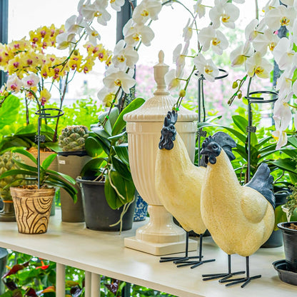 Mwellewm 6 Sets Plant Stakes 12/25/36 Inch Adjustable Plant Support Stakes Tall for Indoor Outdoor Plant Holder Stick Steel Garden Stem Pole Amaryllis Stakes with 30 Clip for Tomato Orchid Lily Flower