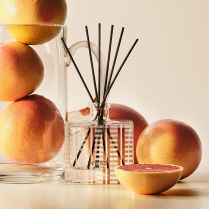 NEST New York Reed Diffuser, Moroccan Amber - 5.9 fl oz - Fragrance for Up to 90 Days - Reusable, Refillable Glass Holder - Includes 8 All-Natural Reed Sticks - Flame Free