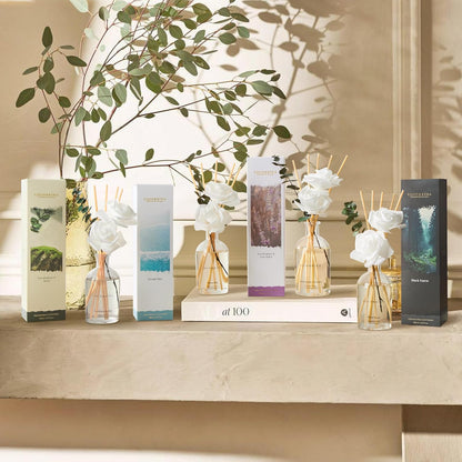 COCORRÍNA Reed Diffuser - Eucalyptus & Moss Scent, 6.76 fl oz Essential Oil with 8 Reed Sticks - Home Fragrance for Bedroom Bathroom Shelf Décor