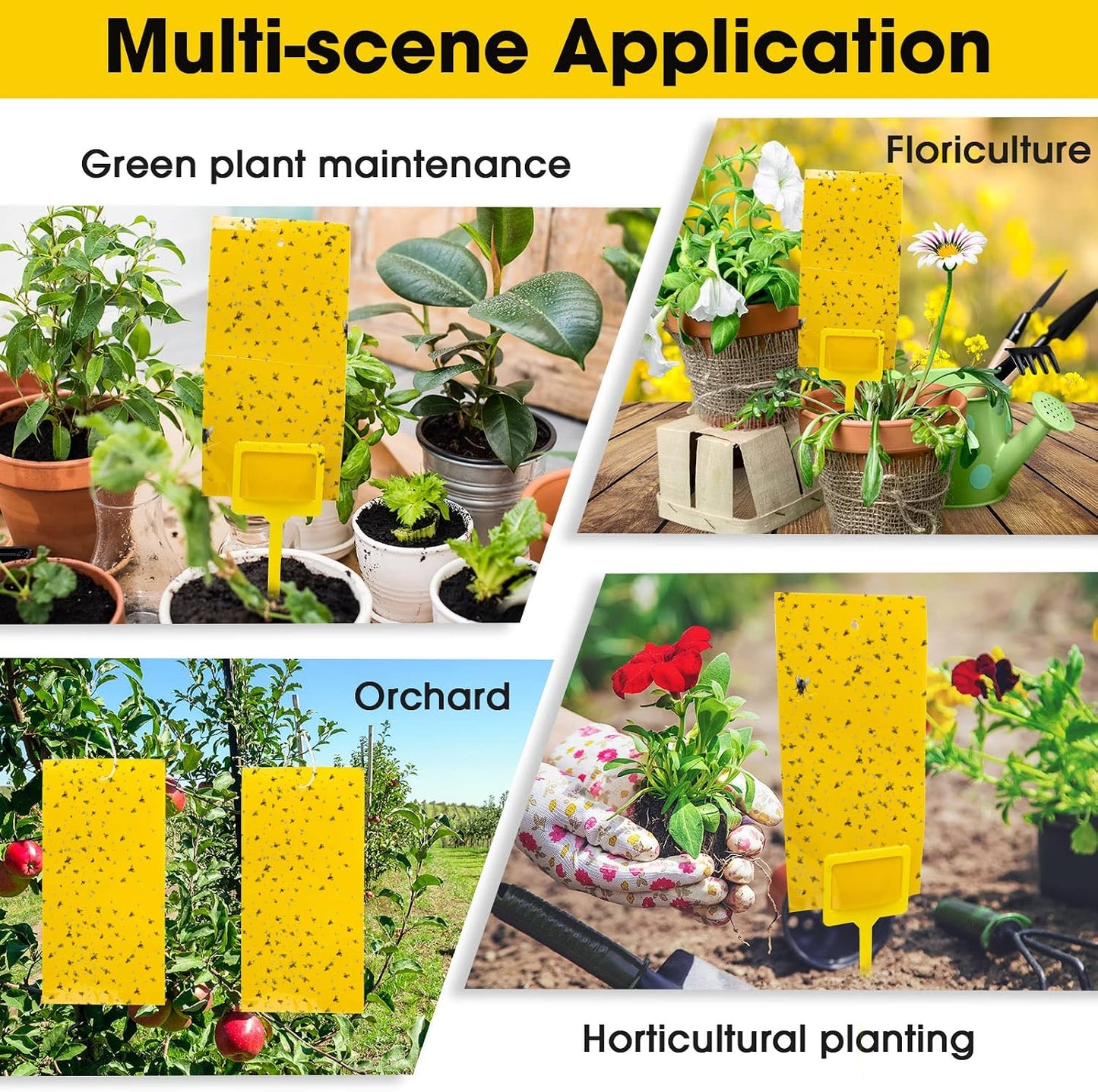 Qualirey 220 Pcs 7.9 x 4 Inch Yellow Sticky Traps for Plant Gnats Dual Sided Fruit Fly Sticky Traps for Indoors Outdoors with Twist Ties & Plastic Holders for Insect, Fungus Gnats, Whiteflies, Aphids