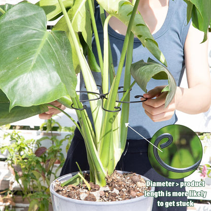 Yohsnor Monstera Plant Stem Support System - 5 Piece Set (5.5x4.7in) | Durable Plant Support Stakes for Climbing Plants & Fishbone Cactus | Ideal Leaf Stabilizer for Indoor Plants & Monstera Care