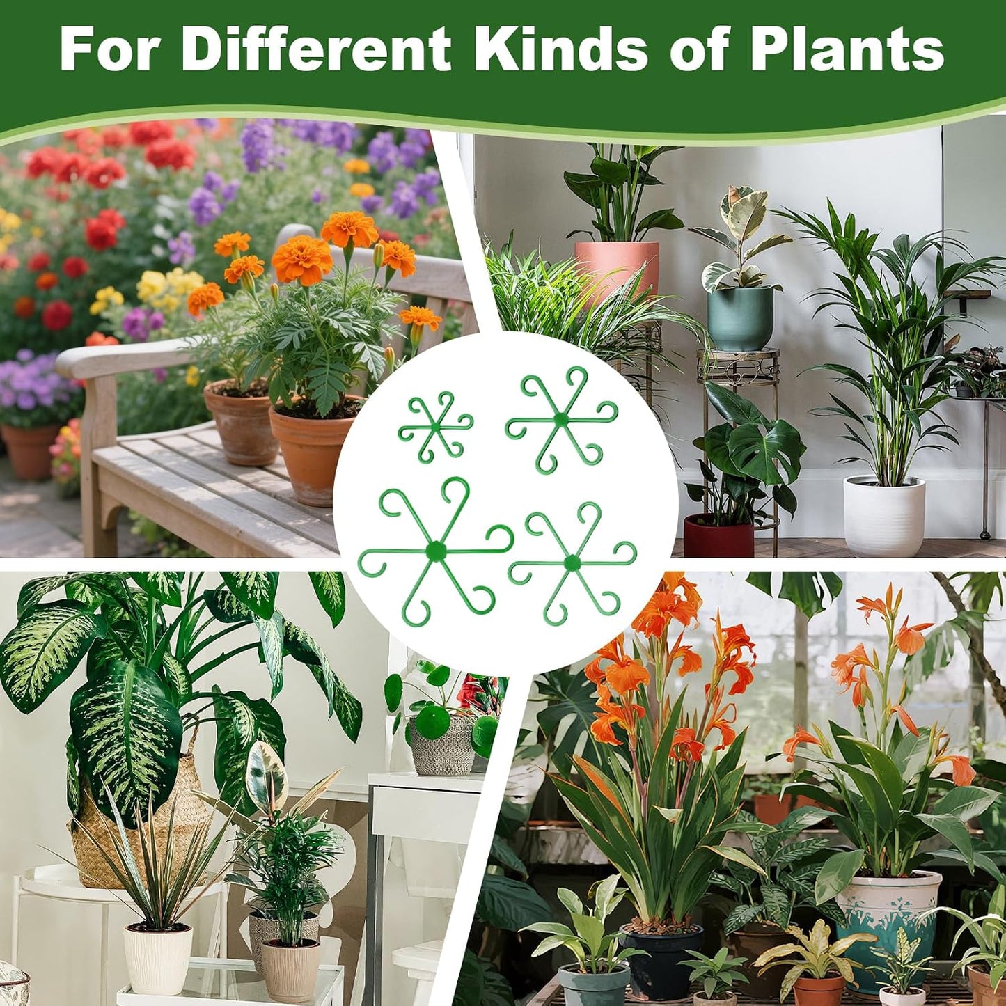16pcs Plant Stem Support, Plant Support for Indoor Plants, 4 Sizes Climbing Houseplant Stem Holders, Reusable Plant Stabilizer, Indoor Plants Accessories