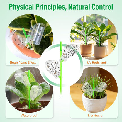 100 Pcs Gnat Sticky Traps for Plants, Sticky Traps for Gnats with 20 Stakes to Control, Aphids, Plant Bug, Mosquito Bits and Whiteflies(Green)
