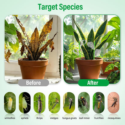 100 Pcs Gnat Sticky Traps for Plants, Sticky Traps for Gnats with 20 Stakes to Control, Aphids, Plant Bug, Mosquito Bits and Whiteflies(Green)
