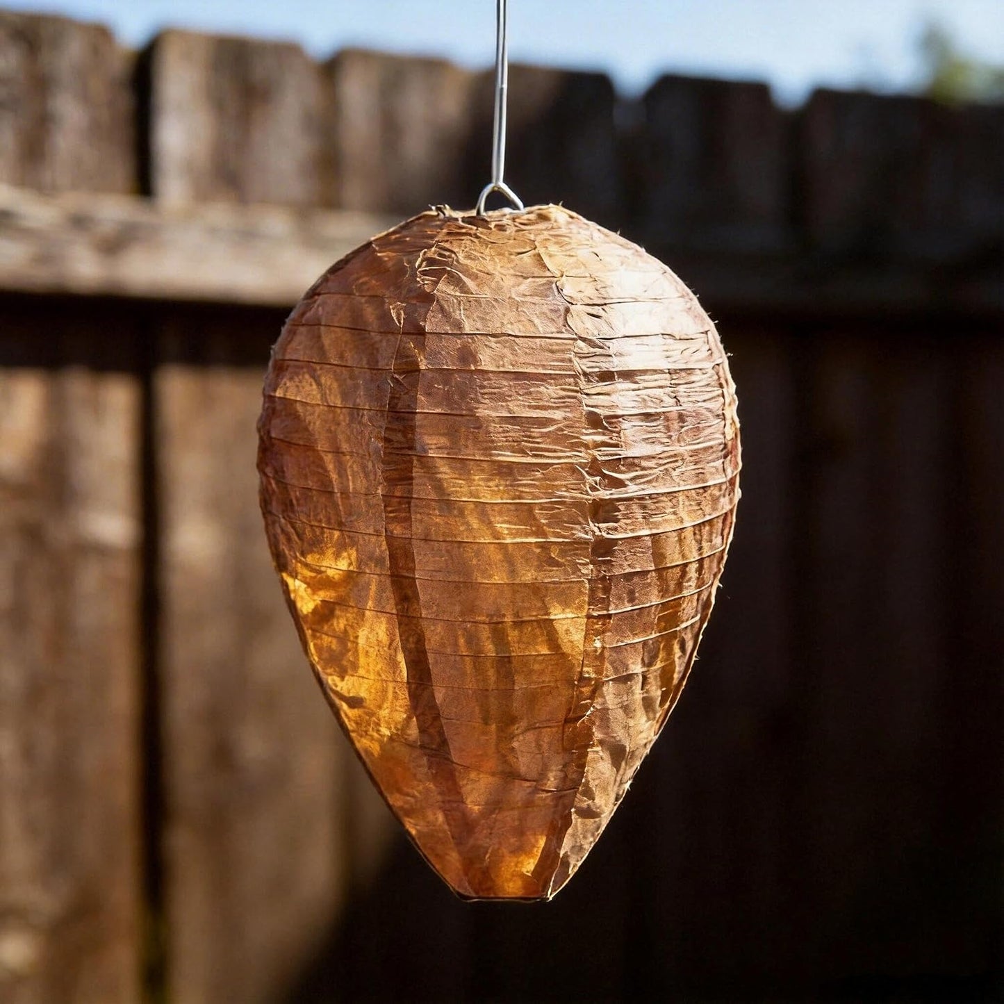 Wasp Trap 4-Pack-Attract & Trap Wasps, Hornets, Yellow Jackets; Protect Patio, Garden, Yard; Reusable, Weather-Resistant, Safe for Family/Pets; Easy Hang & Maintain.