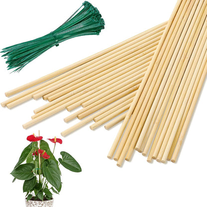 AUGSHY Plant Stakes 18 Inch, 40 PCS Natural Bamboo Garden Stakes | Eco-Friendly Reusable Natural Bamboo Material Splinter-Free Polished Surface Balanced Strength & Adjustable Support