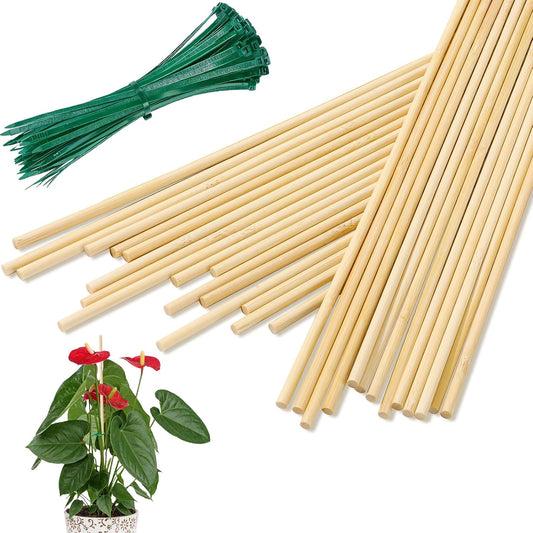 AUGSHY Plant Stakes 18 Inch, 40 PCS Natural Bamboo Garden Stakes | Eco-Friendly Reusable Natural Bamboo Material Splinter-Free Polished Surface Balanced Strength & Adjustable Support