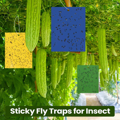 Qualirey 150 Pcs 6x8 Inch Yellow Sticky Traps for Gnats, Dual-Sided Sticky Gnat Traps for Indoor Outdoor Plants, Pest Control for Fungus Gnats, Fruit Flies, Whiteflies – Bulk Pack with Twist Ties