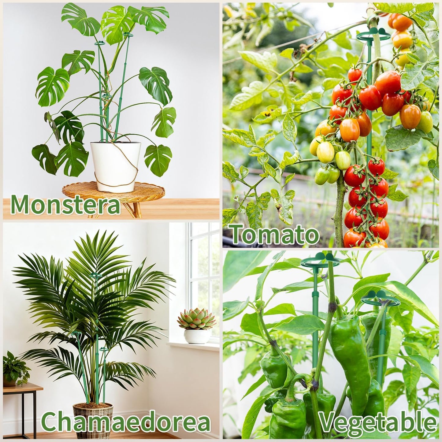 Extendable Plant Stakes,Adjustable Length from 17.9IN to 42.3IN Monstera Support Stakes with Clips,Sturdy Plant Stakes for Indoor Outdoor,Garden Sticks for Tomato,Orchid,Climbing Plants- 3Pack