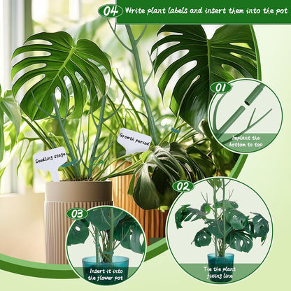 5 Pack Stackable Monstera Support Twig Plant Stakes, Plant Support Stakes for Indoor Outdoor Plants Holder Sticks for Climbing Plants Monstera Pothos Philodendron
