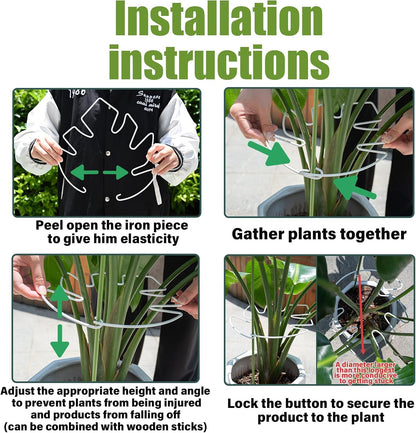 Yohsnor Monstera Plant Stem Support System - 5 Piece Set (5.5x4.7in) | Durable Plant Support Stakes for Climbing Plants & Fishbone Cactus | Ideal Leaf Stabilizer for Indoor Plants & Monstera Care