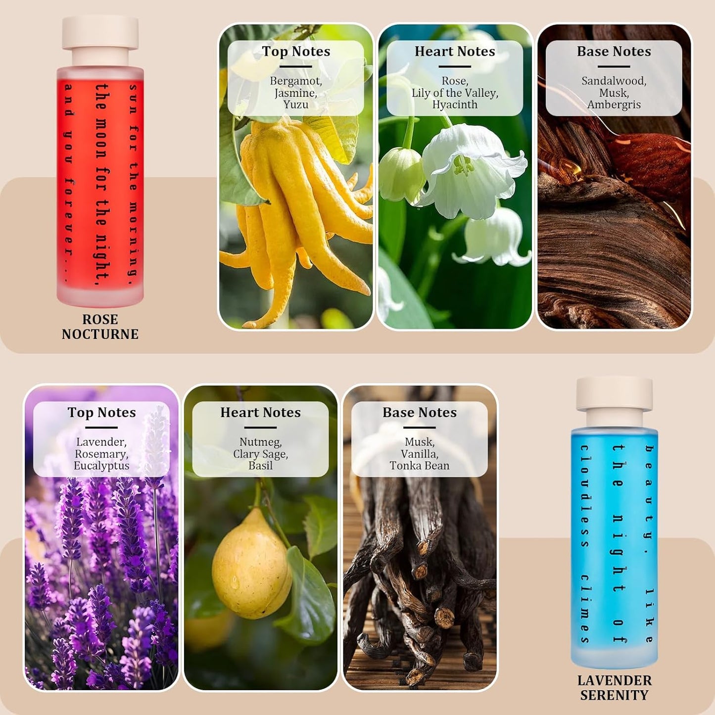 Ikeda Luxury Gift Set of 4 Reed Diffusers with Preserved Eucalyptus - Home Fragrance Oils for Bedroom, Bathroom, Office & Living Room - Scents for Relaxation, Focus & Mood (5.07 fl.oz Each)