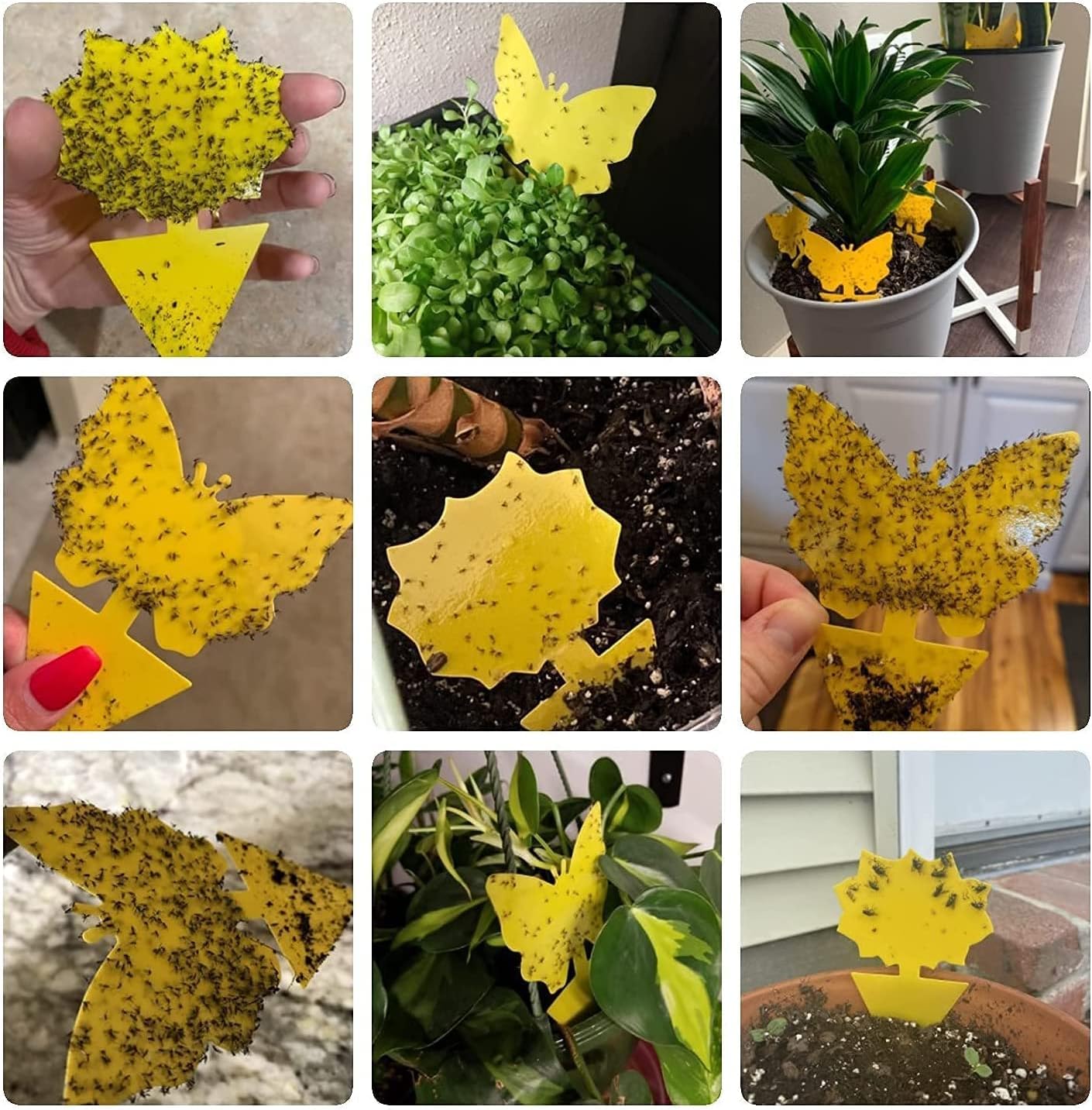 40 Pack Fungus Gnat Traps for House Indoor Yellow Sticky Traps for Gnats Sticky Traps for Plants, Dual-Sided Fungus Gnat Sticky Traps Fruit Fly Traps for Indoors