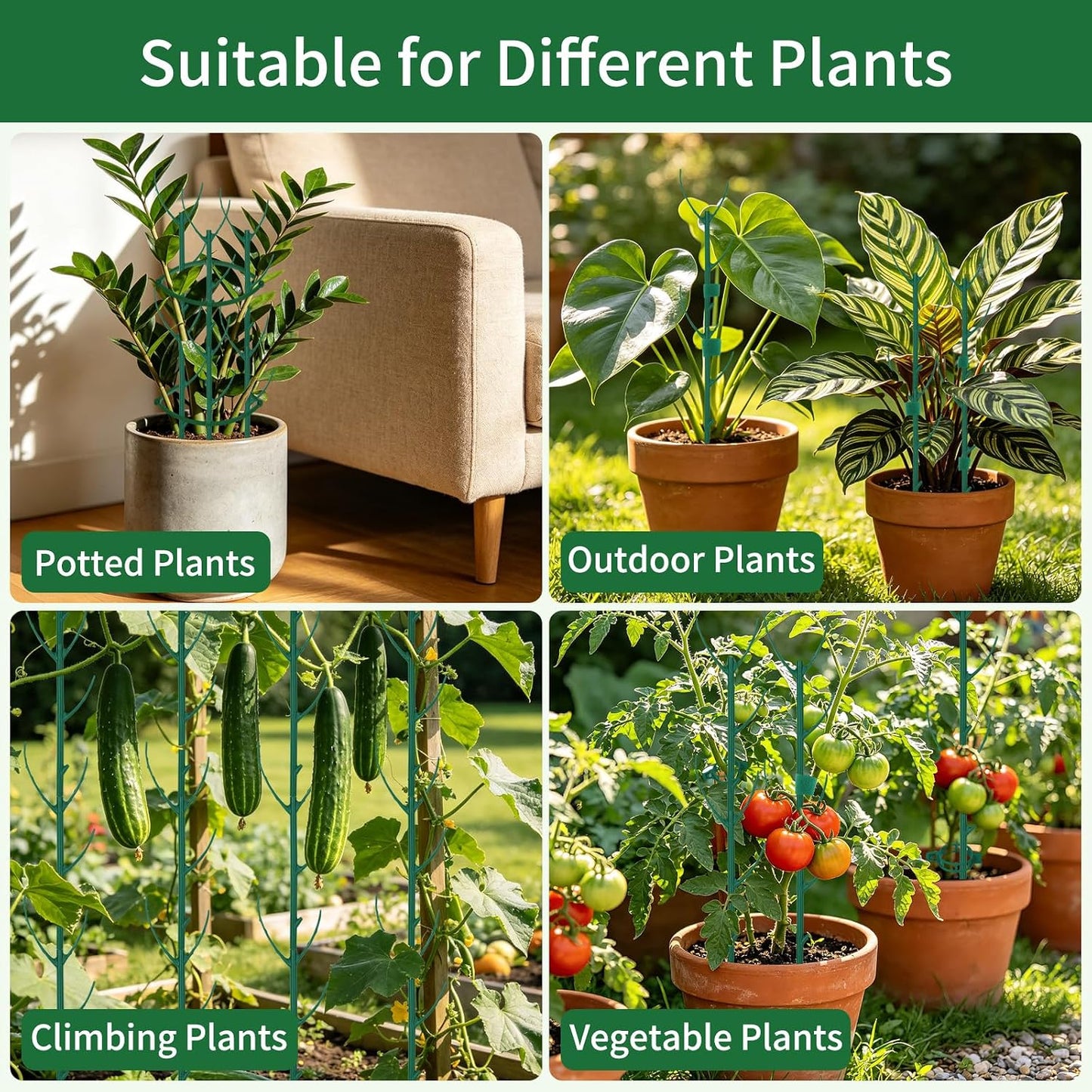 12 Pack Monstera Plant Support, Stackable Plant Supports for Indoor Plants, Pothos Plant Climber Pole, Adjustable Stakes for Indoor Plants Training & Vertical Growth Support Stakes