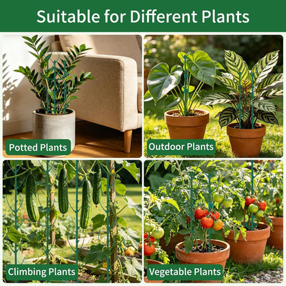 12 Pack Monstera Plant Support, Stackable Plant Supports for Indoor Plants, Pothos Plant Climber Pole, Adjustable Stakes for Indoor Plants Training & Vertical Growth Support Stakes