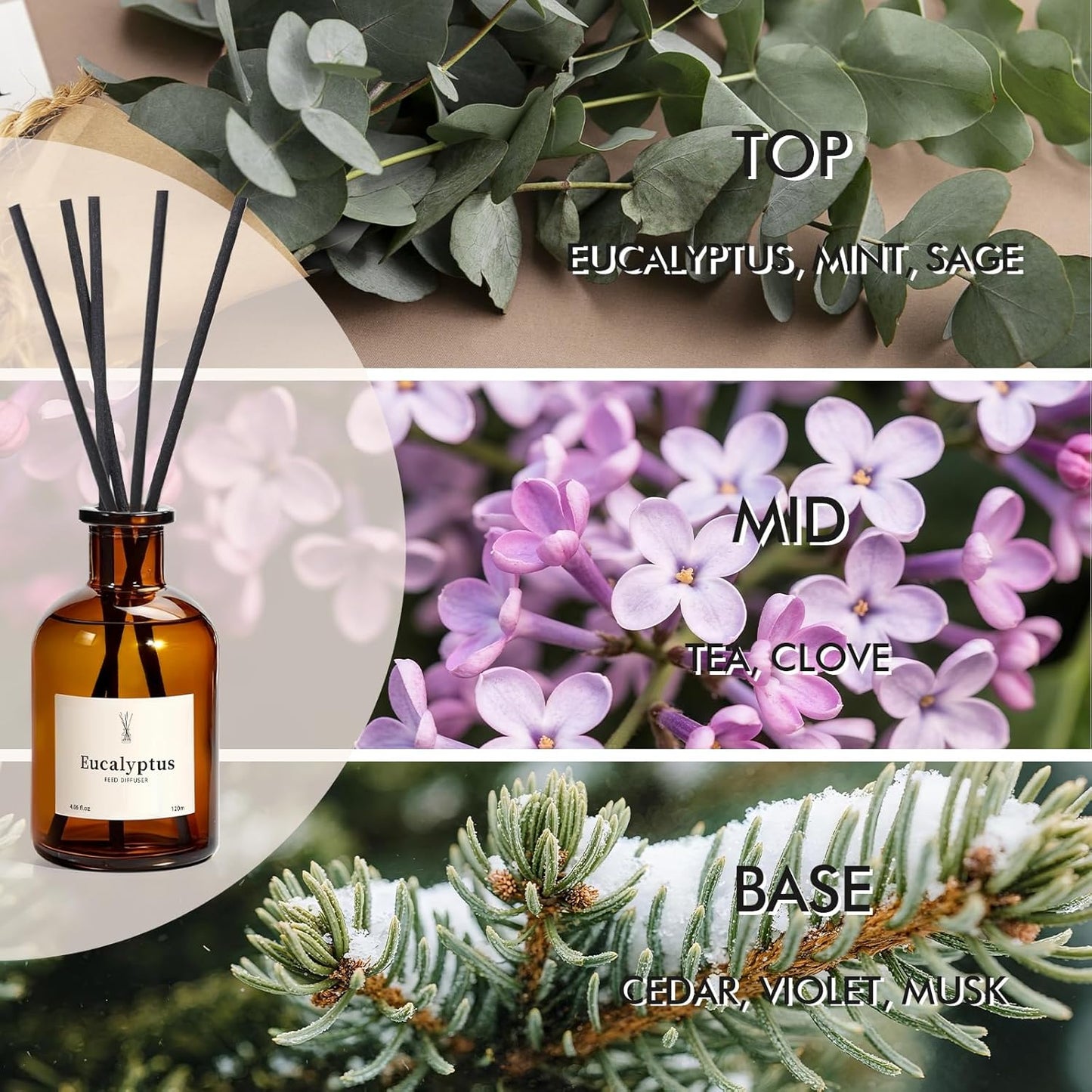 Reed Diffuser Set, 8.12 fl.oz Citrus Scent Oil Diffuser with Sticks, Long-Lasting Home Fragrance Reed Diffuser for Bathroom Shelf Decor, Air Freshener Room Diffuser, 2 Pack