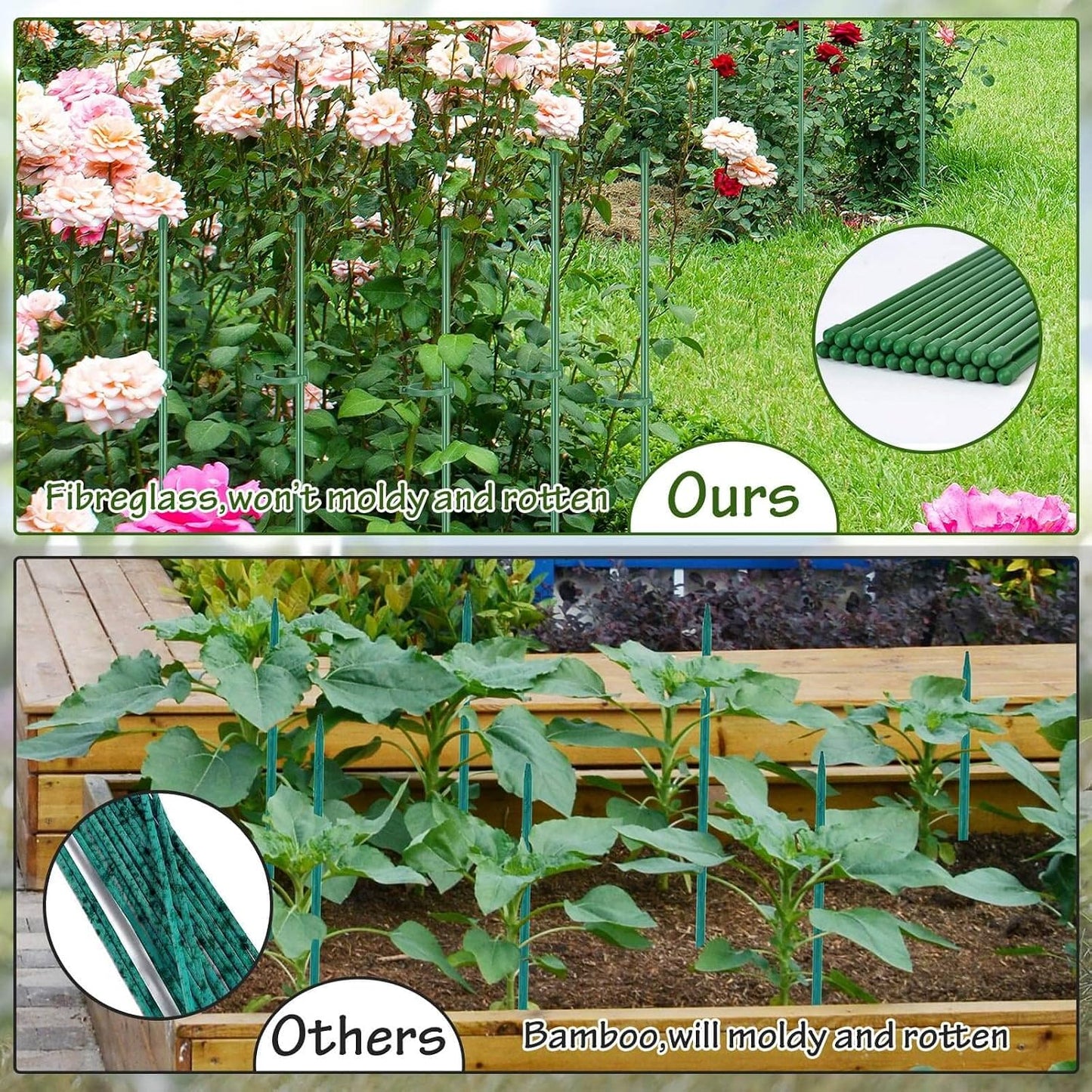 76pcs Plant Stakes for Indoor Plants, 25 Pack 16 inch Plant Support Stakes | Fiberglass Garden Plant Sticks Support with Rings Clips &Tie for Indoor and Outdoor Plants Flowers Tomatoes Orchid