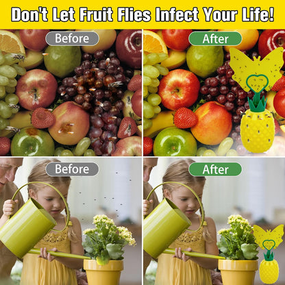 Fruit Fly Trap for Indoors, Effective Fruit Fly Catcher Gnat Killer with Sticker, Gnat Traps for House Indoor with Bait, Non-Toxic Reusable Easy to Use Fly Trap for Kitchen Home - 2 Pack, Clear Yellow