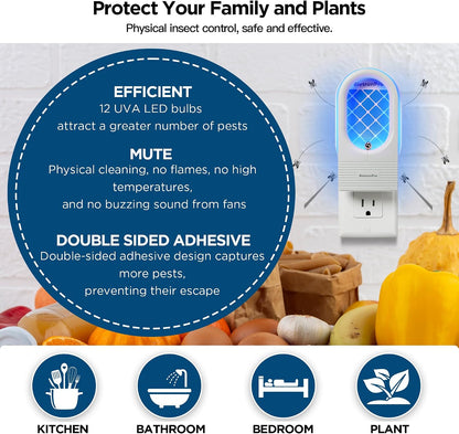 Indoor Fruit Fly & Gnat Traps Plug-in - UV/Blue Light Insect Trap with 2 Devices+6 Refills, Safe & Odorless Flying Insect Catcher for House/Kitchen/Office - Get Rid of Mosquitoes, Moths, Gnats