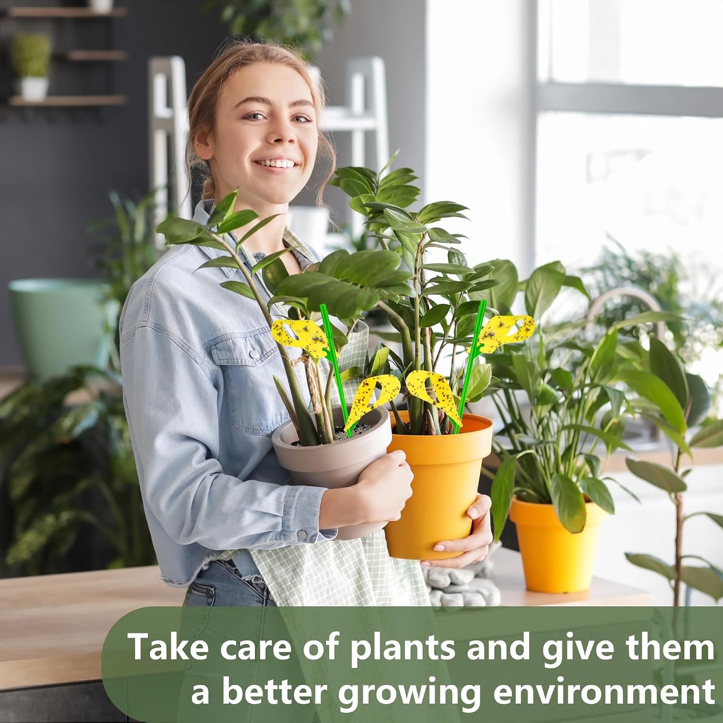 30PCS Fruit Fly Traps for Indoors Gnat Traps for House Indoor Yellow Sticky Traps for Plant Gnats Catcher for Whiteflies Fungus Gnat Mosquitoes Thrips... Stake Holders Included