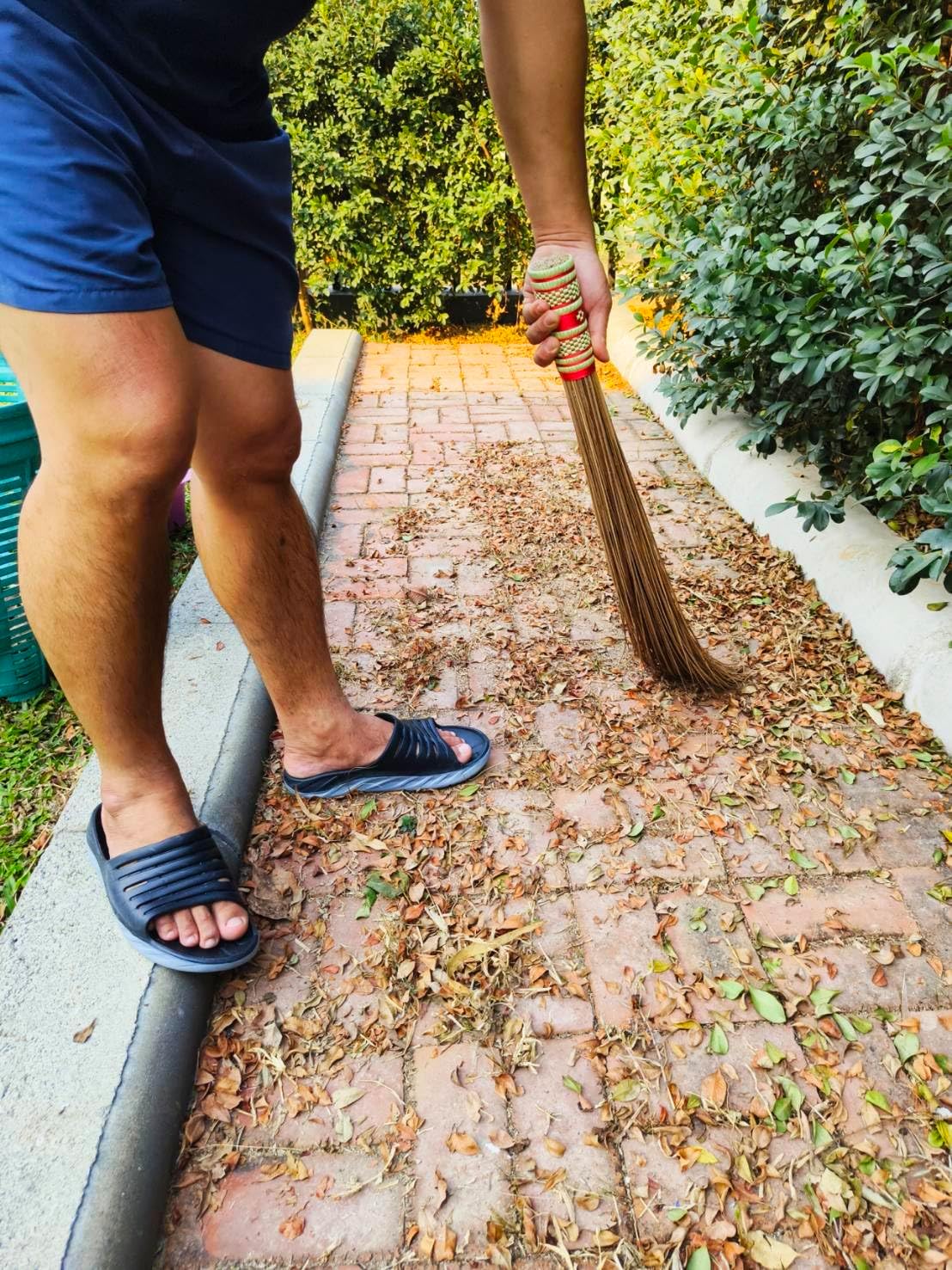 32 inch Multi-Surface Sturdy Outdoor Authentic Coconut Leaf Broom Asian Heavy Duty Broom Thai Natural Coconut Leaf Broom (Country Rustic) 1 Piece (2 piece)