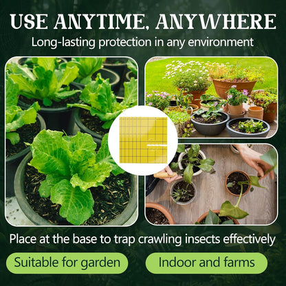100 Pack Yellow Pre-Cut Sticky Traps Bulk for Gnats 3 x 5 Inch Dual Sided Bug Fly Sticky Traps with Center Hole for Indoor Outdoor Plant Flying Insects Fungus Gnats Whiteflies Aphids (Yellow)