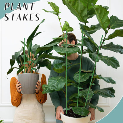 Plant Stakes, 20 Pcs Plant Sticks Stakes Support, Garden Stake Pole with Clips, Adjustable Plant Support with 20 Rings and 10 Connectors for Indoor and Outdoor Plants