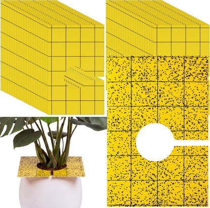 100 Pack Yellow Pre-Cut Sticky Traps Bulk for Gnats 3 x 5 Inch Dual Sided Bug Fly Sticky Traps with Center Hole for Indoor Outdoor Plant Flying Insects Fungus Gnats Whiteflies Aphids (Yellow)