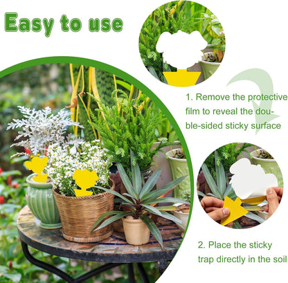 Yellow Sticky Traps for Plant Gnats, 50 Pack Fungus Gnat Trap, Effective Sticky Gnat Traps for Indoor and Outdoor Plants