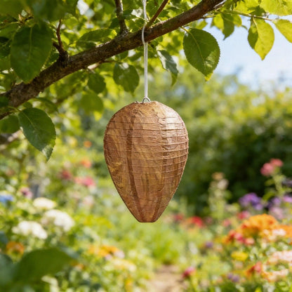 Wasp Trap 4-Pack-Attract & Trap Wasps, Hornets, Yellow Jackets; Protect Patio, Garden, Yard; Reusable, Weather-Resistant, Safe for Family/Pets; Easy Hang & Maintain.