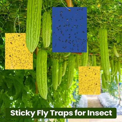Qualirey 150 Pcs 6x8 Inch Yellow Sticky Traps for Gnats, Dual-Sided Sticky Gnat Traps for Indoor Outdoor Plants, Pest Control for Fungus Gnats, Fruit Flies, Whiteflies – Bulk Pack with Twist Ties