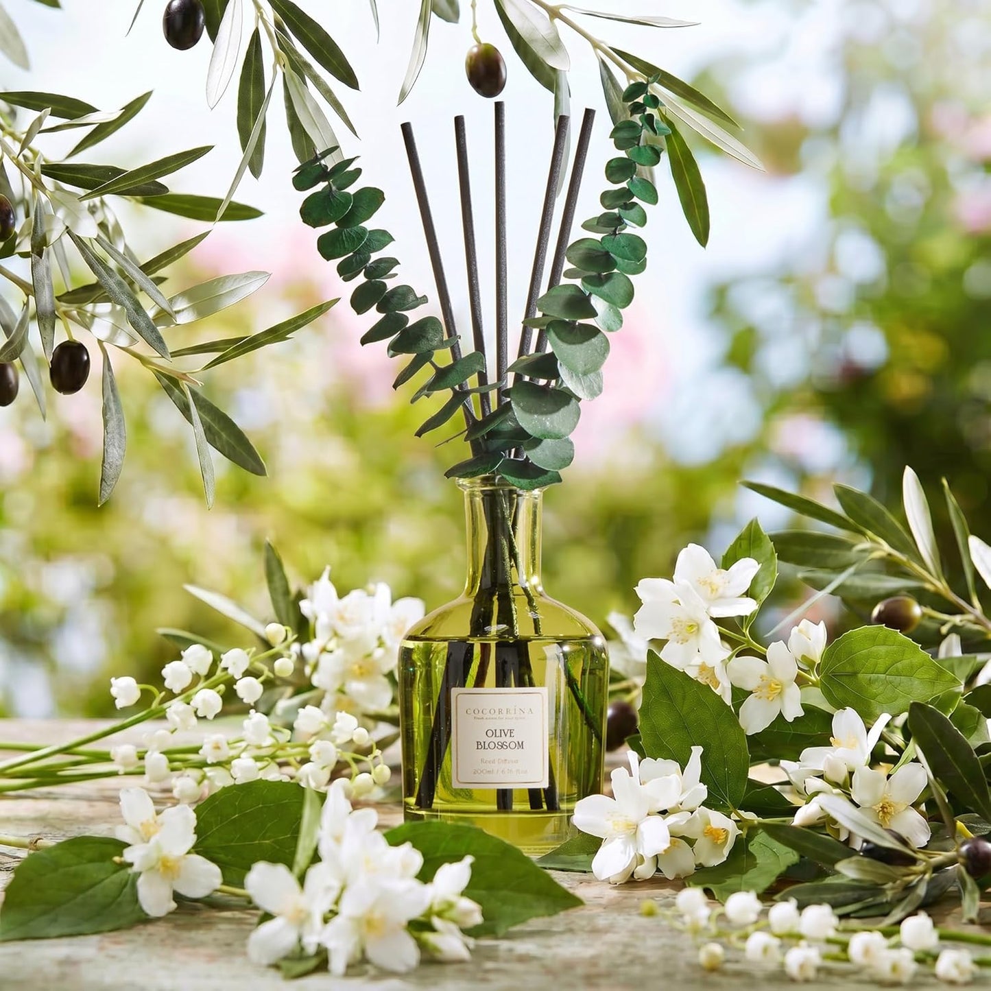 COCORRÍNA Wild Mint & Eucalyptus Reed Diffuser – 6.76 oz Essential Oil with 8 Reeds & Real Eucalyptus Sticks, Home Fragrance for Bedroom or Bathroom Décor