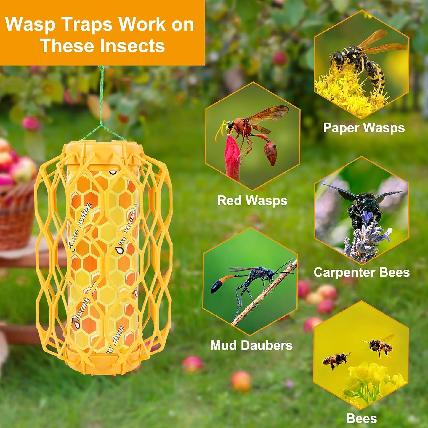 4 Pack Wasp Trap Outdoor Hanging, Carpenter Bee Catchers for Outside(Green) | Reusable Traps with 8 Sticky Refill Sheets, Bee Killer for Hornet Mud Dauber Yellow Jacket, Bug Catcher