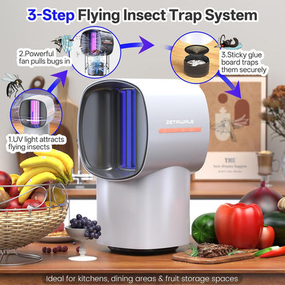 Fruit Fly Traps for Indoors, Gnat and Insects Catcher for House with UV Light, Heat Lure, Fan Suction, Ideal for Kitchen, Patio, Plant Pots, Bedroom, 5 Sticky Pads Included, USB-C Powered