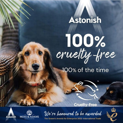 Astonish 750ml Specialist Air Fryer Cleaner Spray with Baking Soda - Non Stick Safe Grease Remover, Food Residue Lifter, Quick Rinse Vegan Cruelty Free Kitchen Appliance Degreaser, No Scrub Formula