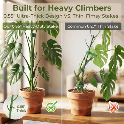 Heavy-Duty Monstera Plant Support Stakes - 10-Piece Stackable Sticks | For Climbing Stem up to 39.6" Tall - 0.55" Thick Indoor Plant Poles & Outdoor Garden Structures