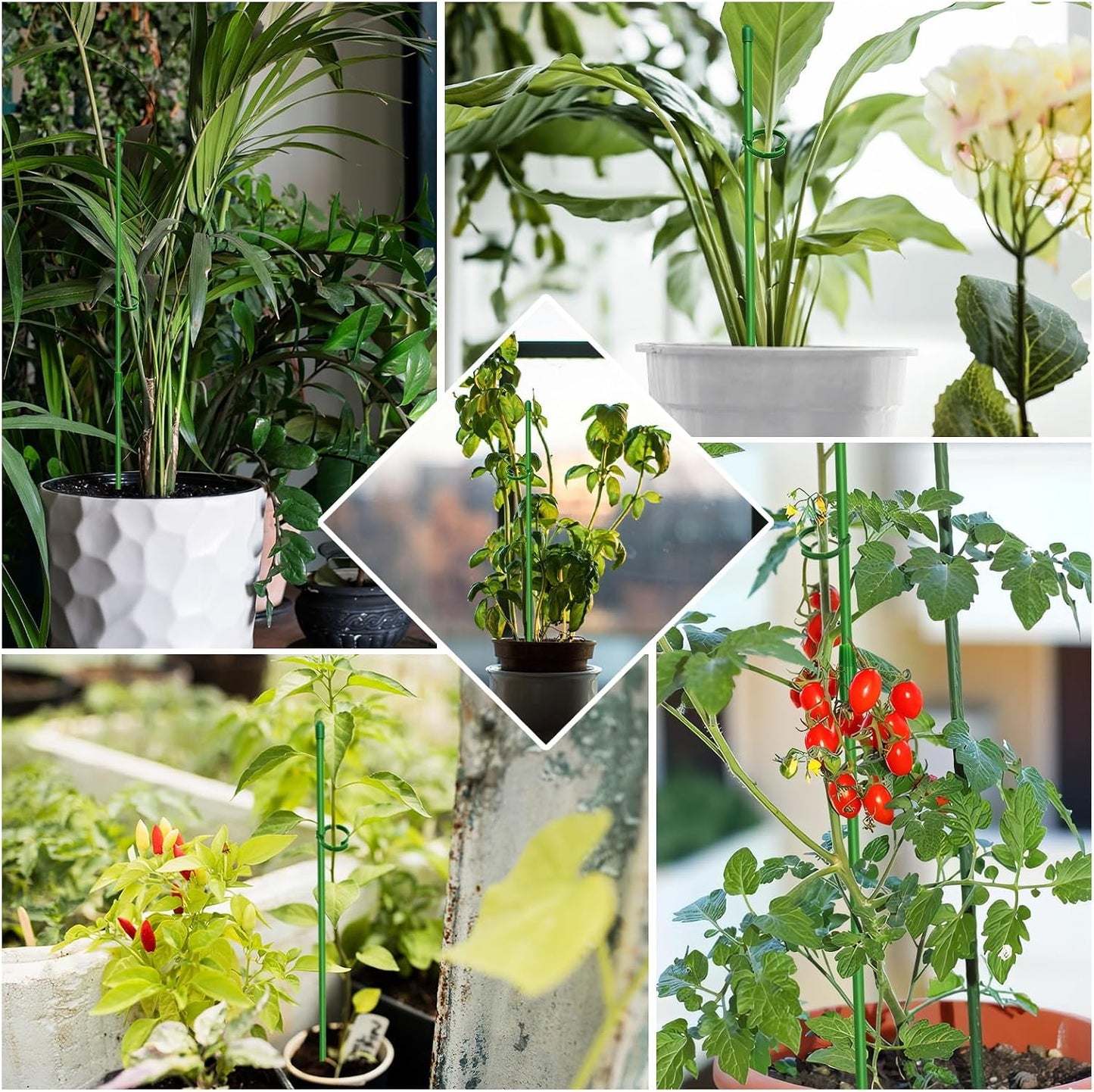 Plant Stakes, 20 Pcs Plant Sticks Stakes Support, Garden Stake Pole with Clips, Adjustable Plant Support with 20 Rings and 10 Connectors for Indoor and Outdoor Plants