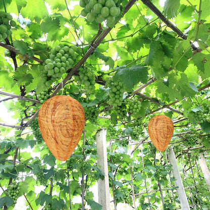 DECYOOL 2 Pack Fake Wasp Nest Decoy Outdoor Waterproof Material | Waterproof Material, Eaves/Garbage/Pool Areas, Territorial Hive Mimicry, Includes 2 Hanging Ropes for Easy Setup