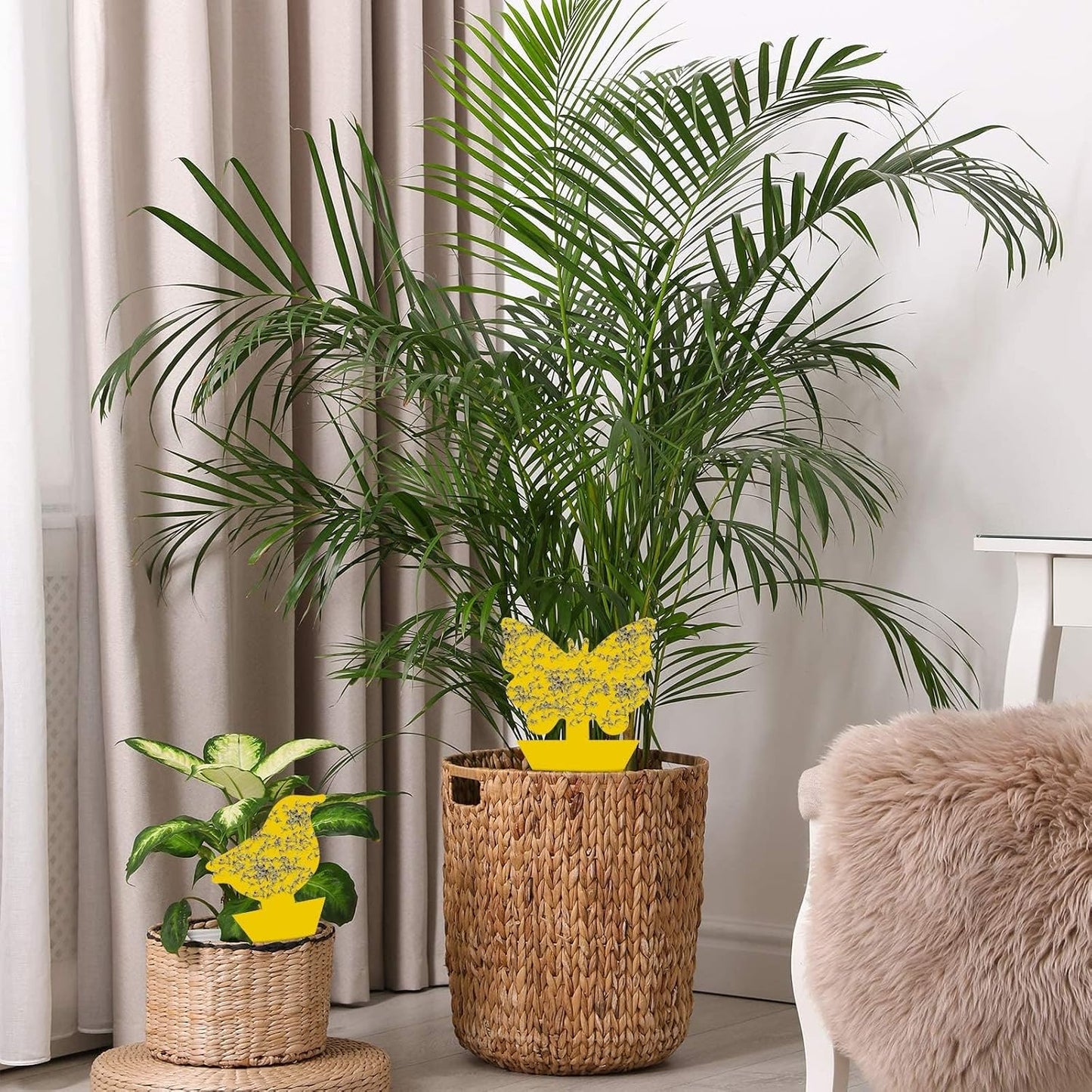 60 Pack Fruit Fly Traps Fungus Gnat Traps, Fruit Shape Yellow Sticky Bug Traps for Indoor Outdoor Plants, Dual-Sided Sticky Traps for Whiteflies, Aphids & Flying Insects